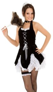 House Cleaning Service - Fantasy Sexy Maids LLC